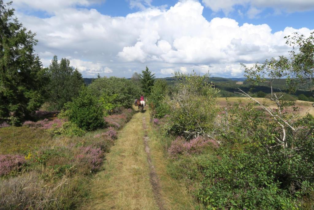 Ferme équestre de Tréphy