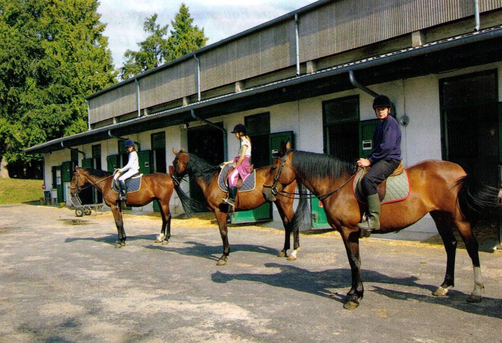 Les écuries du Pradeaux