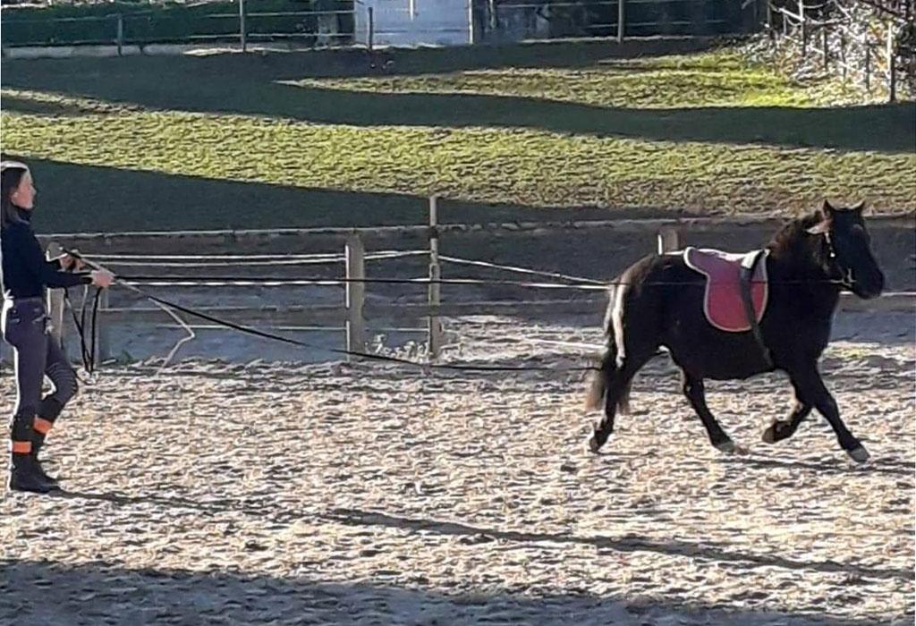 Les écuries du Pradeaux