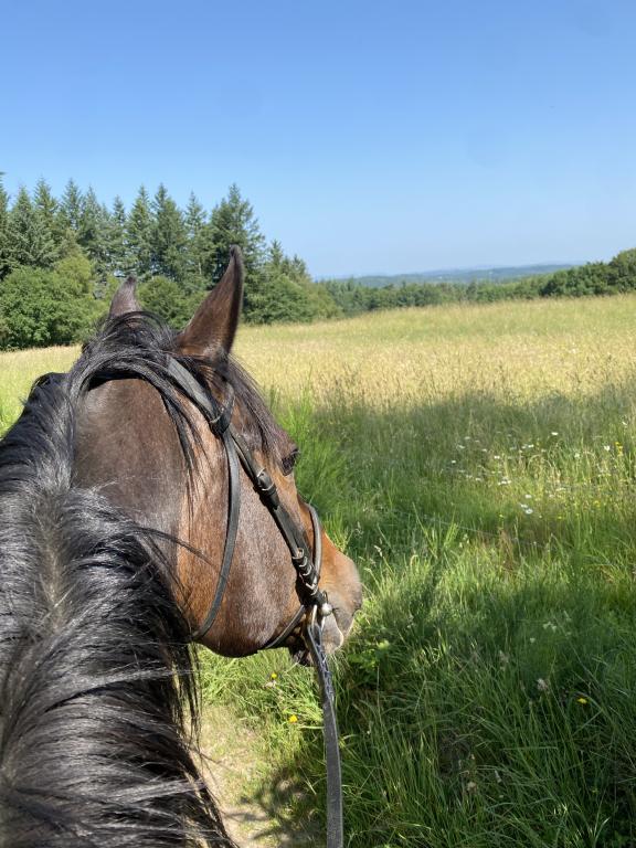 Écurie  Du  Pradeaux