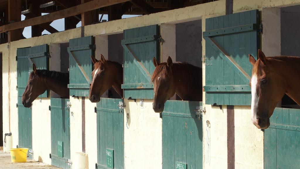 Les Ecuries du Tilleul