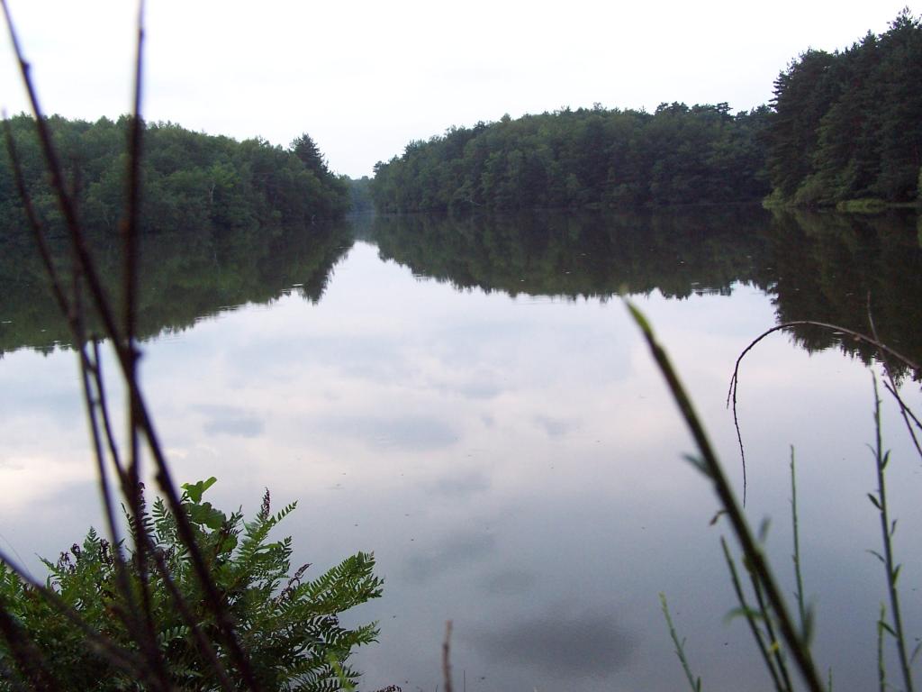 Centre Équestre de Malesse