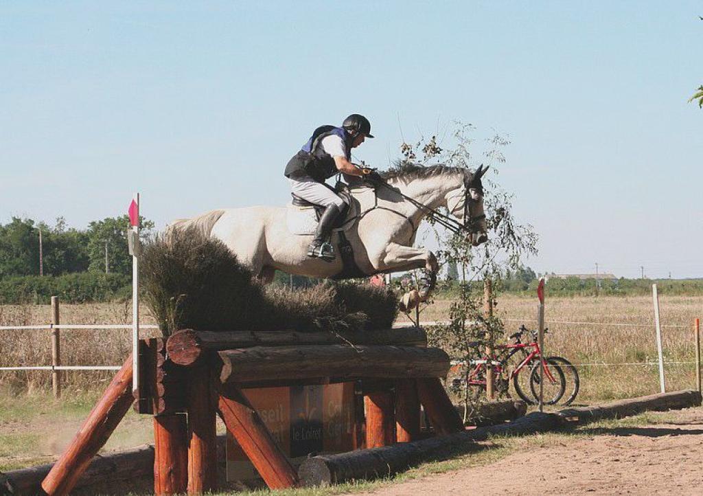 Ecuries Gilles Bordes