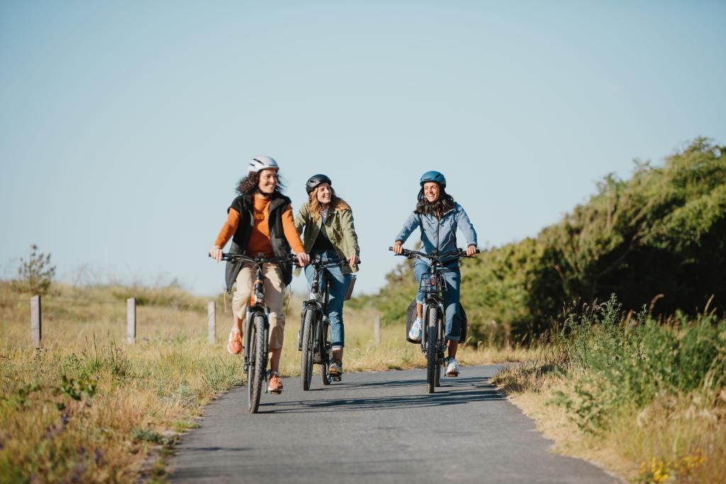 Roue Léo Vert - Location de vélos électriques