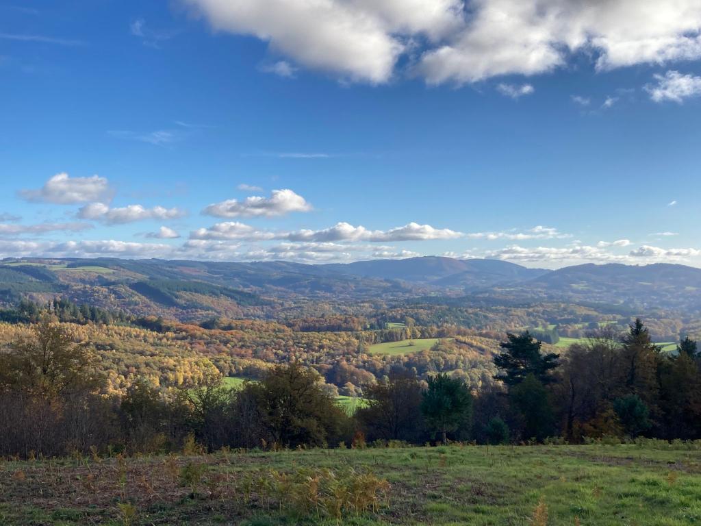 Dress & Sens Équitation