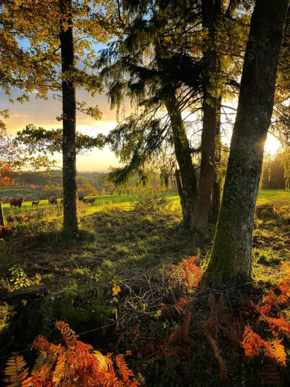 Dress & Sens Équitation