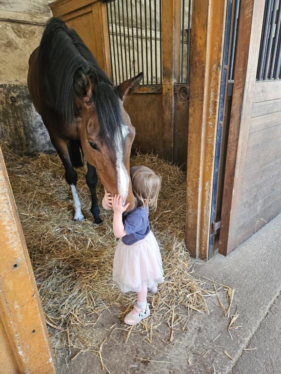 Les Ecuries du Château