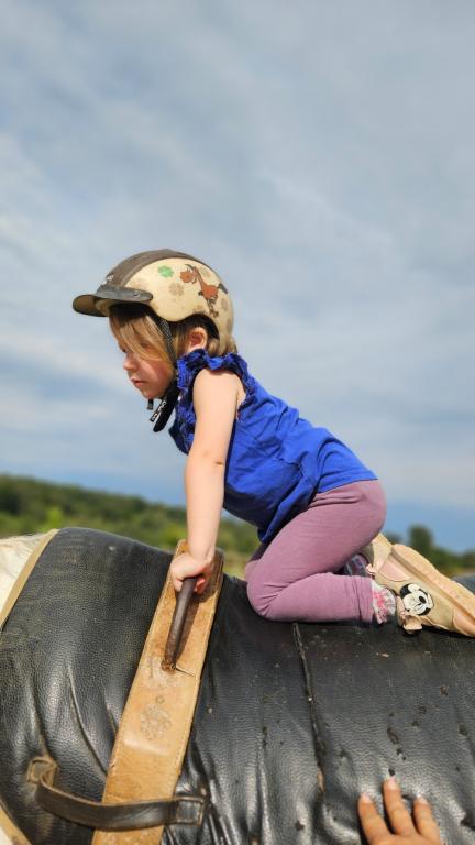 Les Ecuries du Château