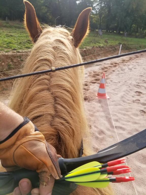 Ferme équestre du Bois Vieux