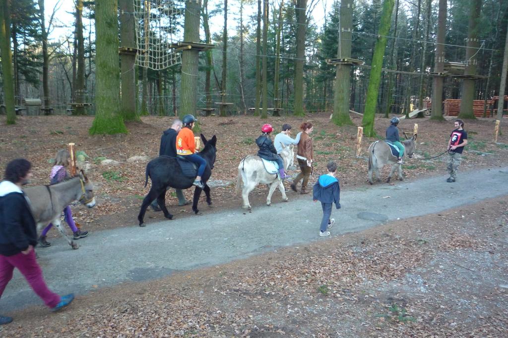 Balades à dos d'âne de la Ferme de Bitarelle