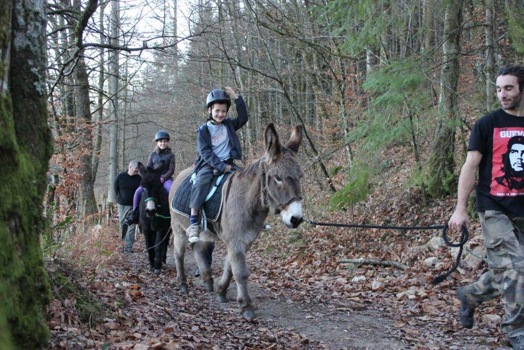 Balades à dos d'âne de la Ferme de Bitarelle