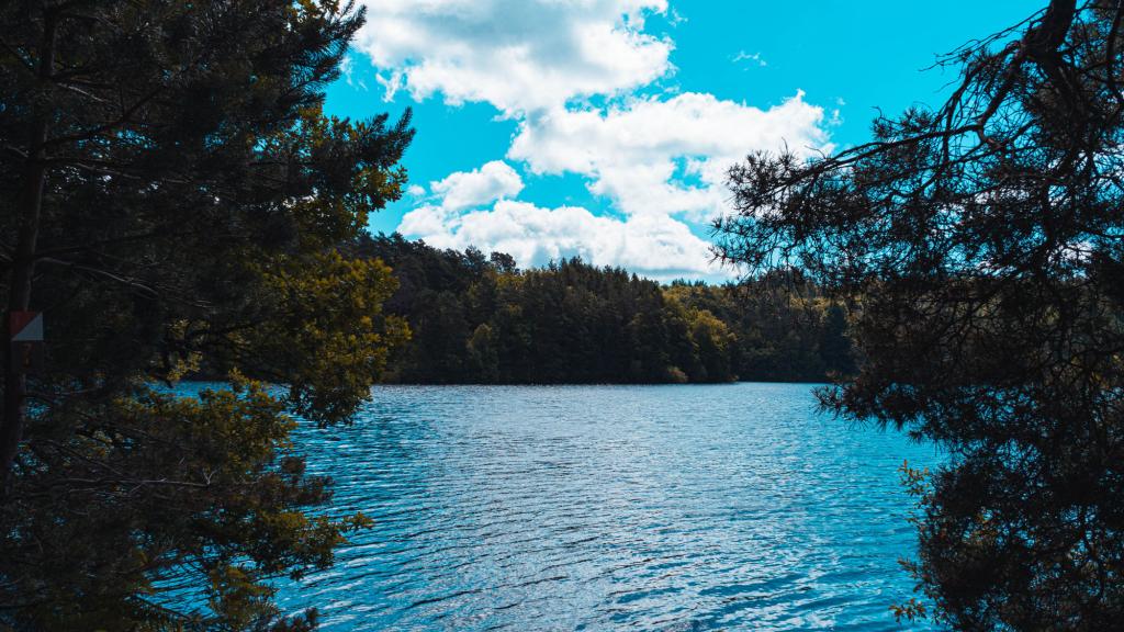 Course d'orientation Marcillac Sports Nature