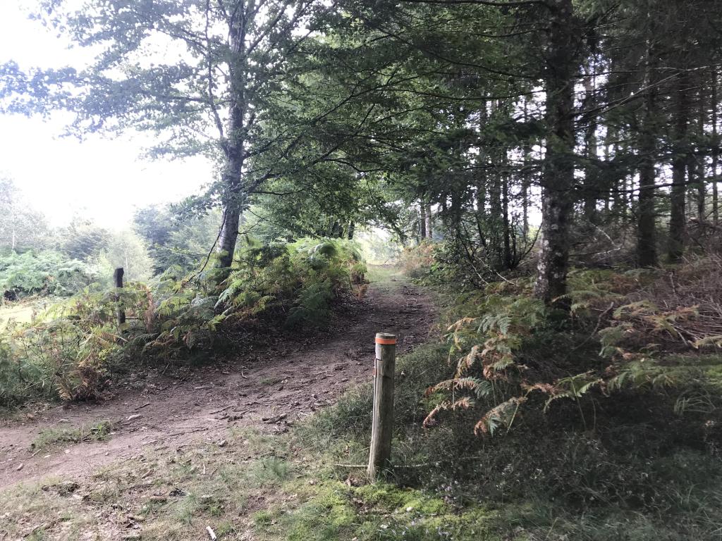 Parcours permanent d'orientation de la forêt de Mirambel