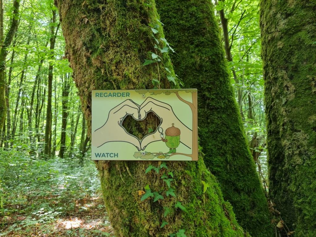 Forestorium de Chamberet