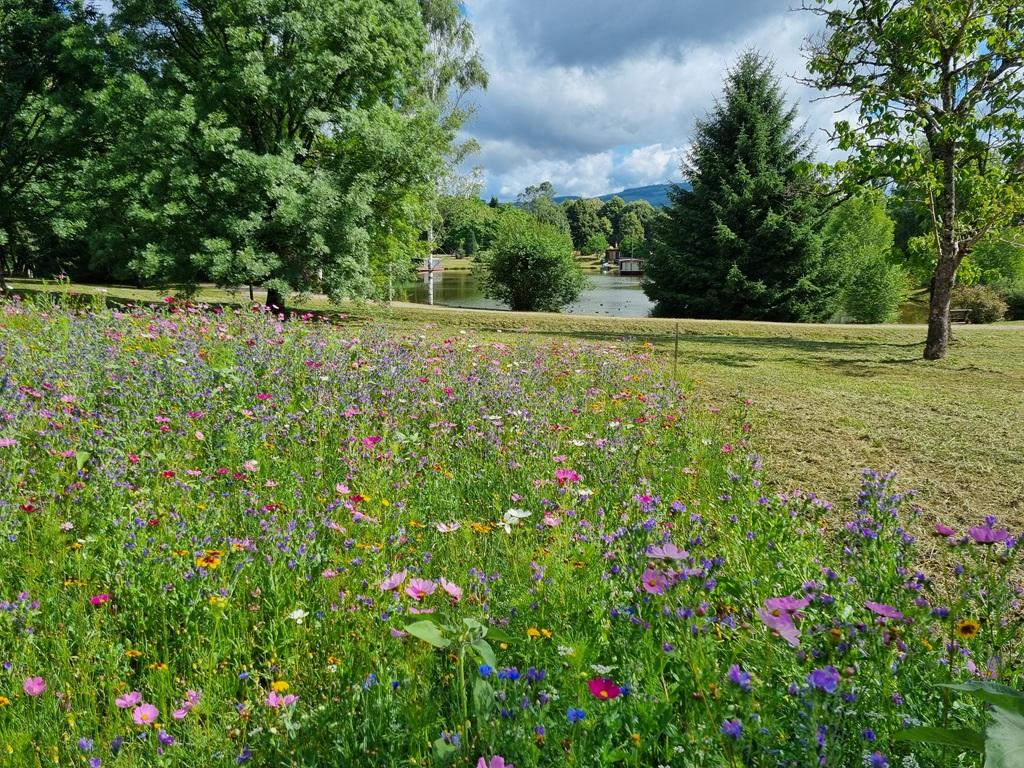 Forestorium de Chamberet