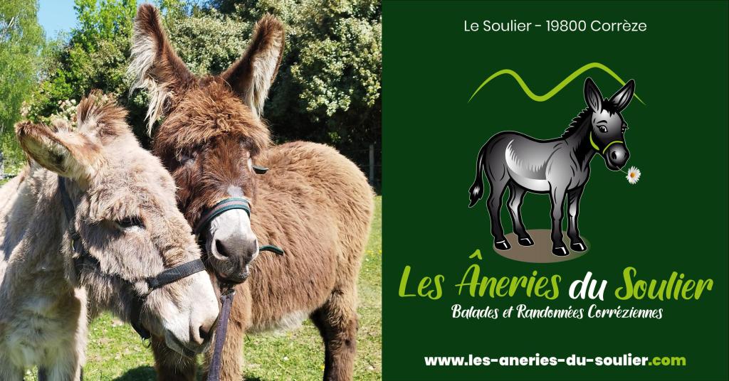 Les âneries du Soulier