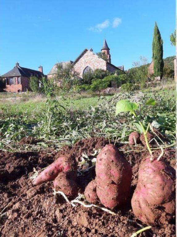 La ferme rouge et vert