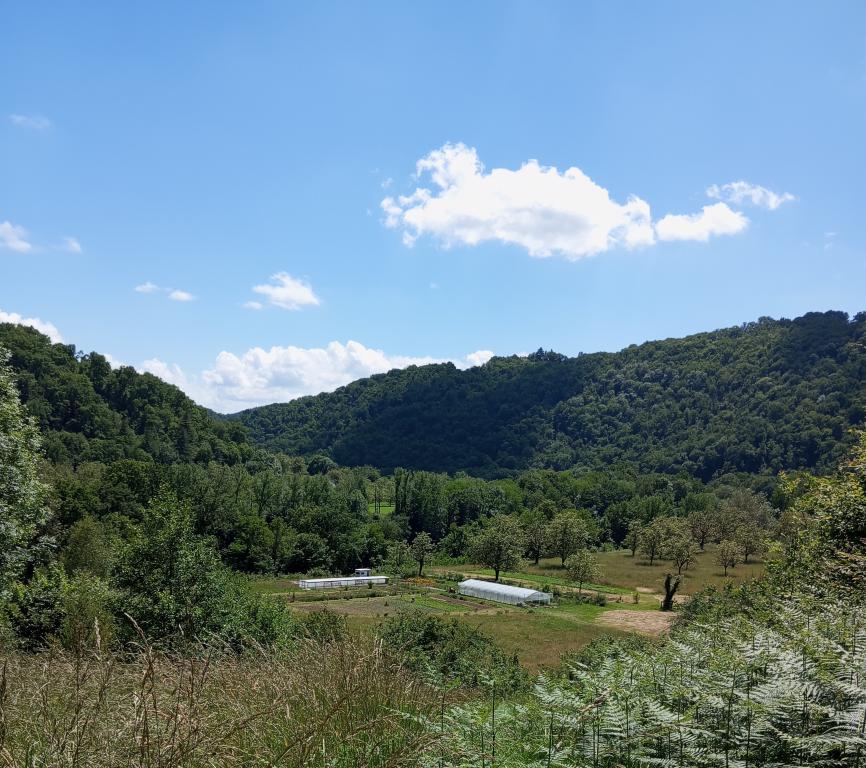 Les lucioles du chambariol