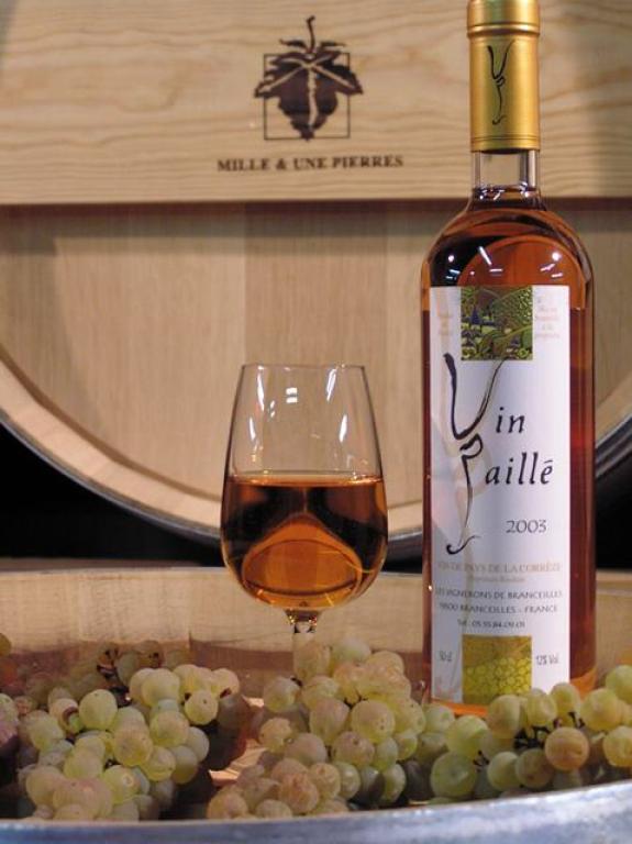 La Cave Viticole de Branceilles