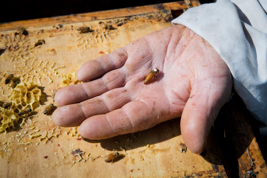 La grange des délices