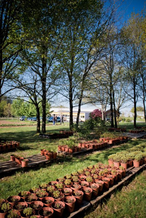 Les ateliers du Puy Grand et de la Vézère