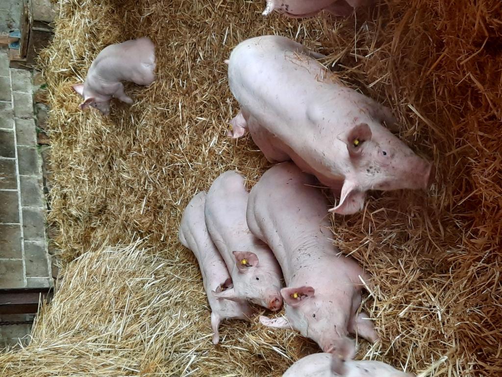 La ferme d'Embrugeat - Lunateli - Lou Gagnou