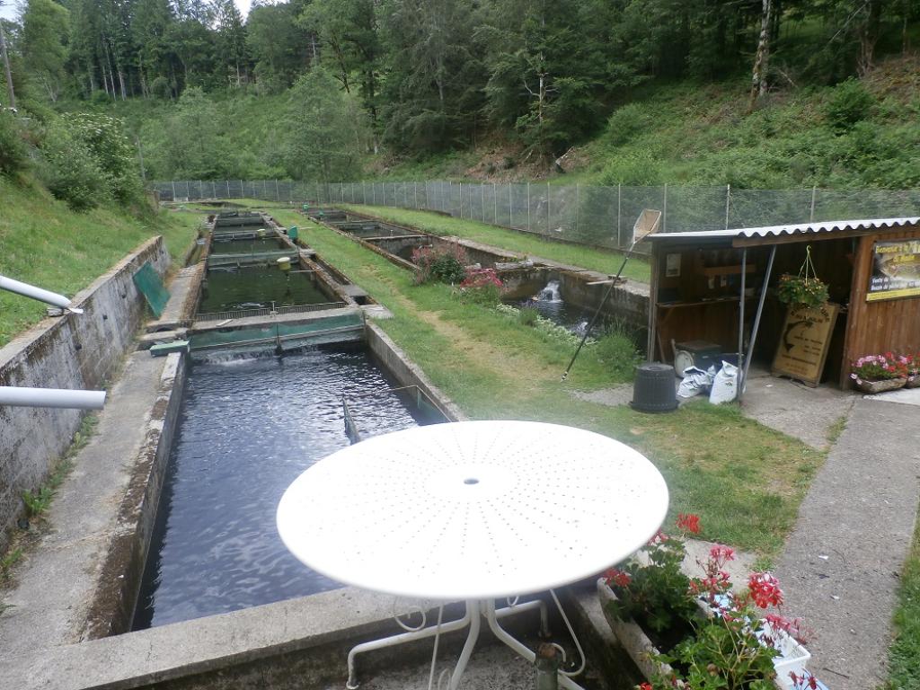 Pisciculture du Moulin de Grandsaigne