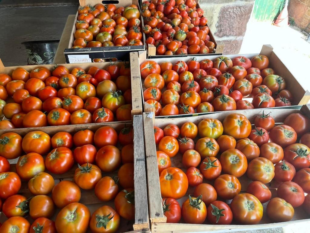 La Ferme de Brossard - Maison de la Châtaigne