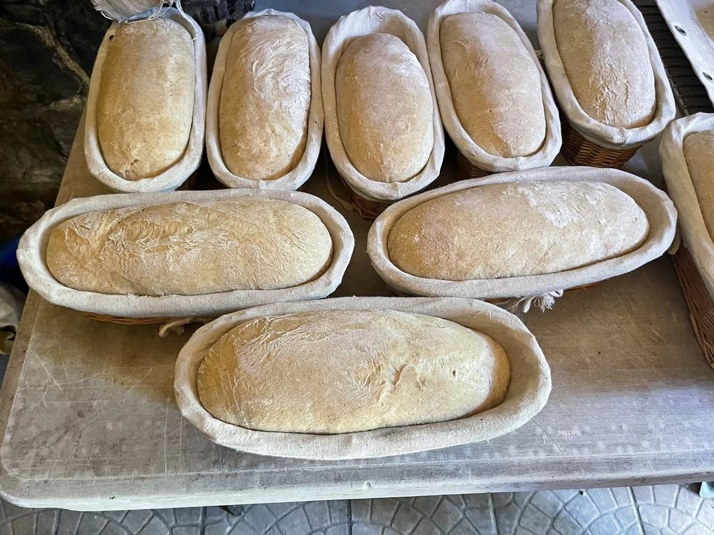 La Ferme de Brossard - Maison de la Châtaigne