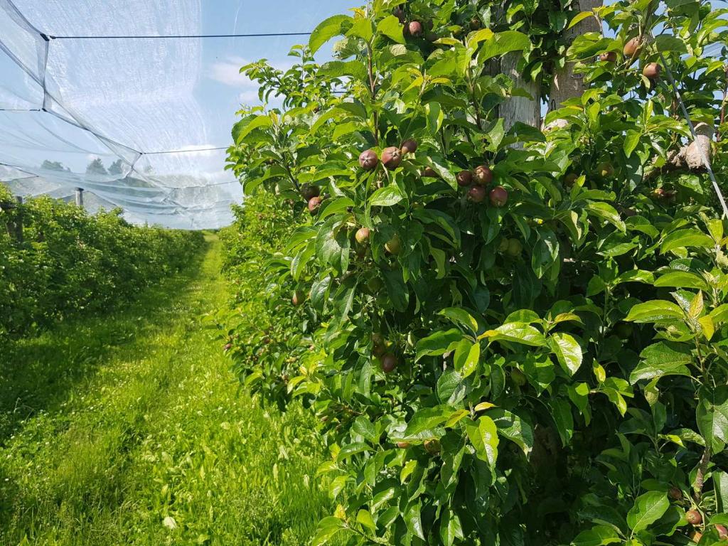 Les vergers du soleil Limousin