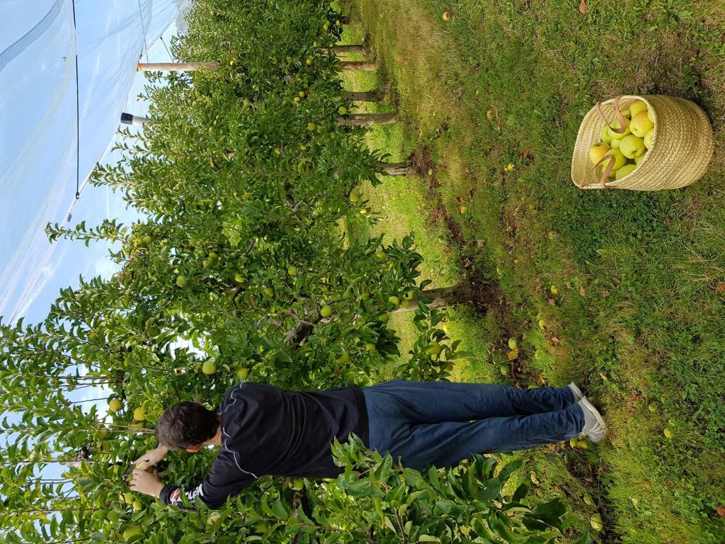 Les vergers du soleil Limousin