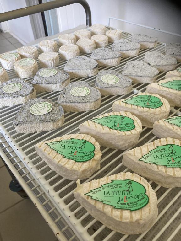 GAEC ferme du Puy de l'Aiguille