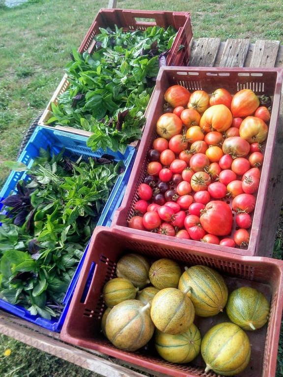 La ferme des Tuileries