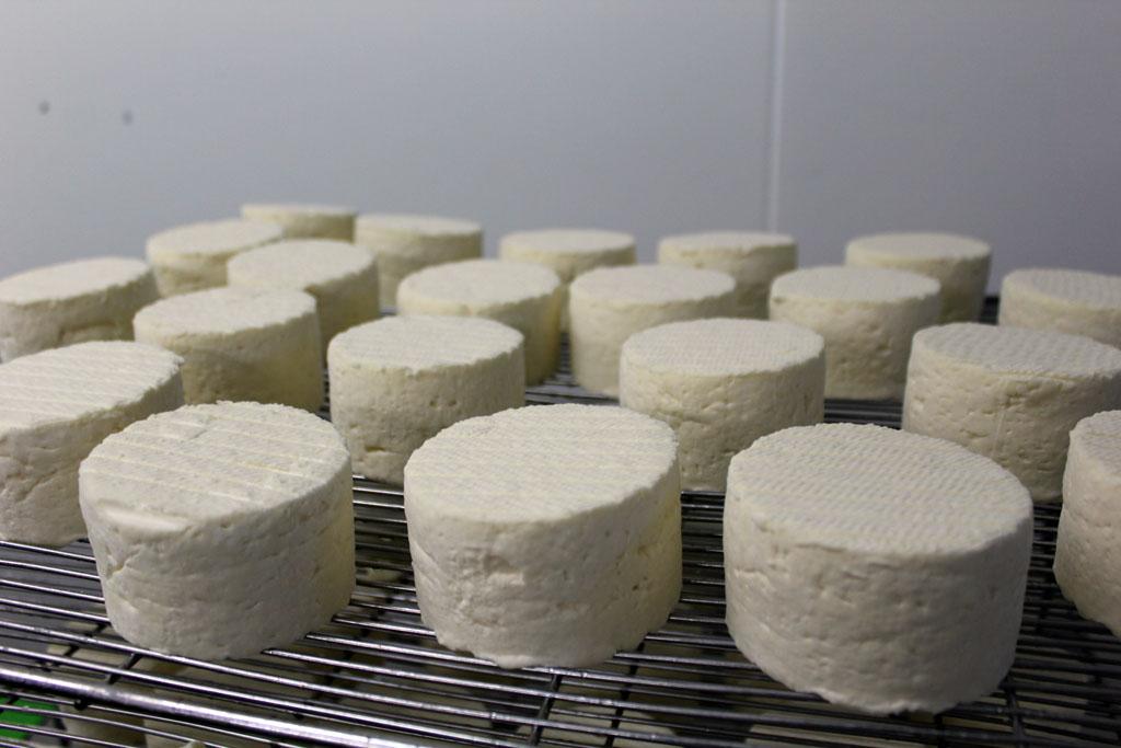 La fromagerie Varsoise