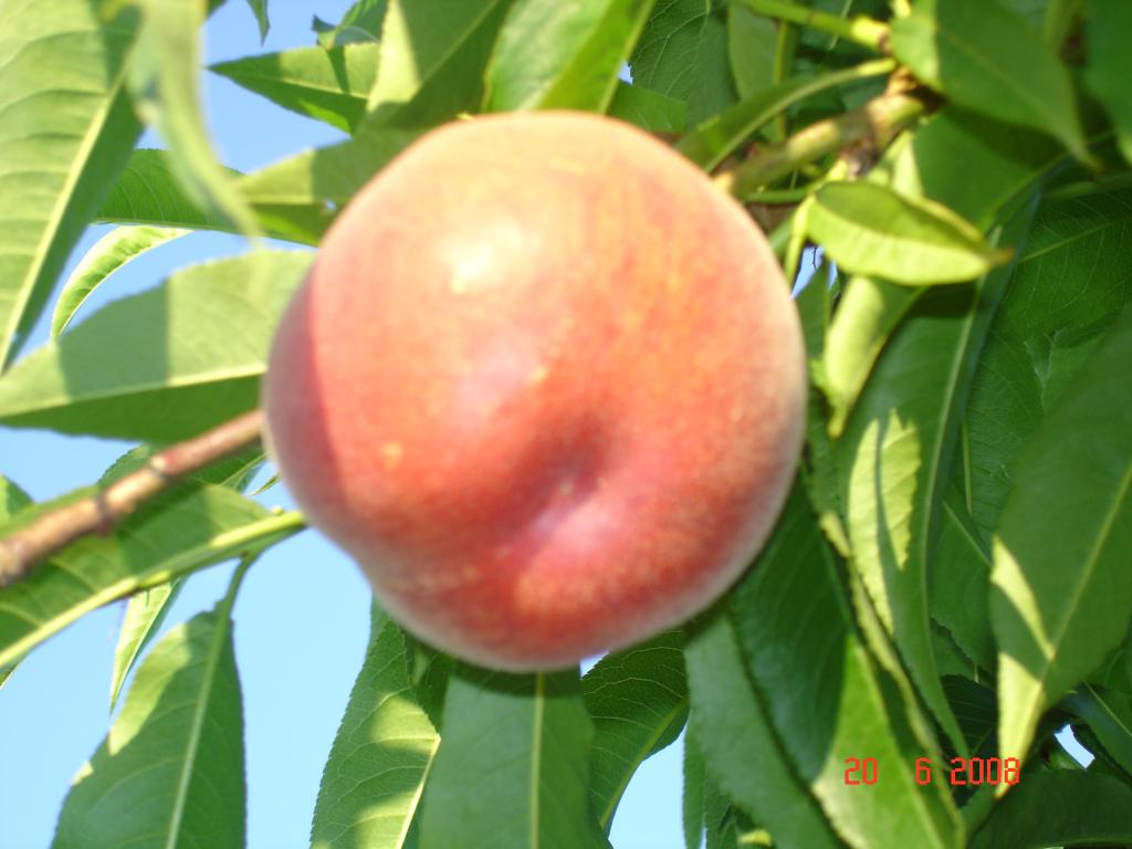 Les Vergers de Meilhac