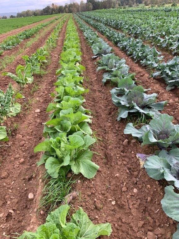 Les Jardins de Lagarde