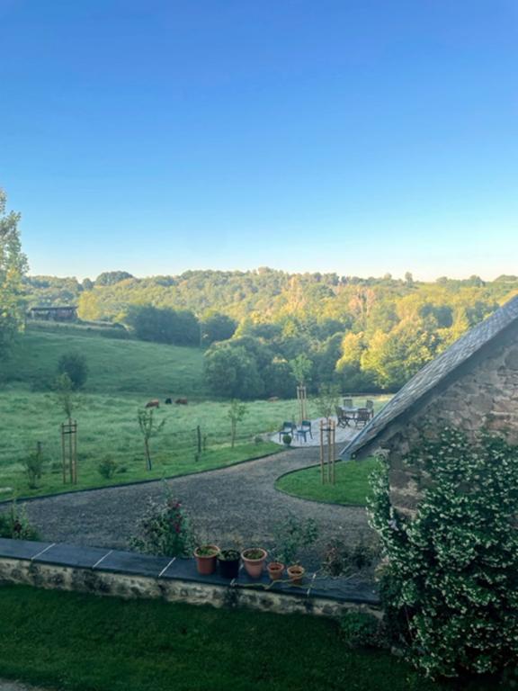 Safran de la vézère