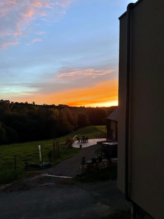 Safran de la vézère