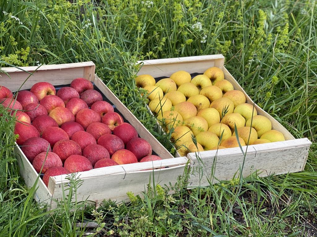 Les vergers de la Pom d'or