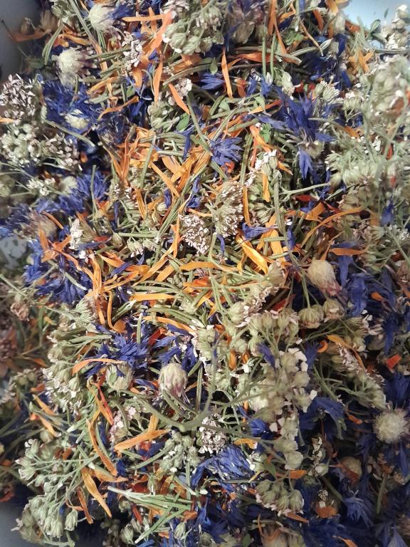 Le jardin du Tempêtier