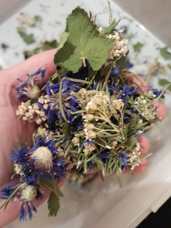 Le jardin du Tempêtier