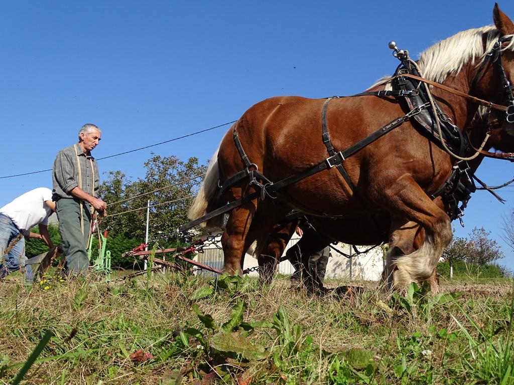 Le Domaine de la Gardelle