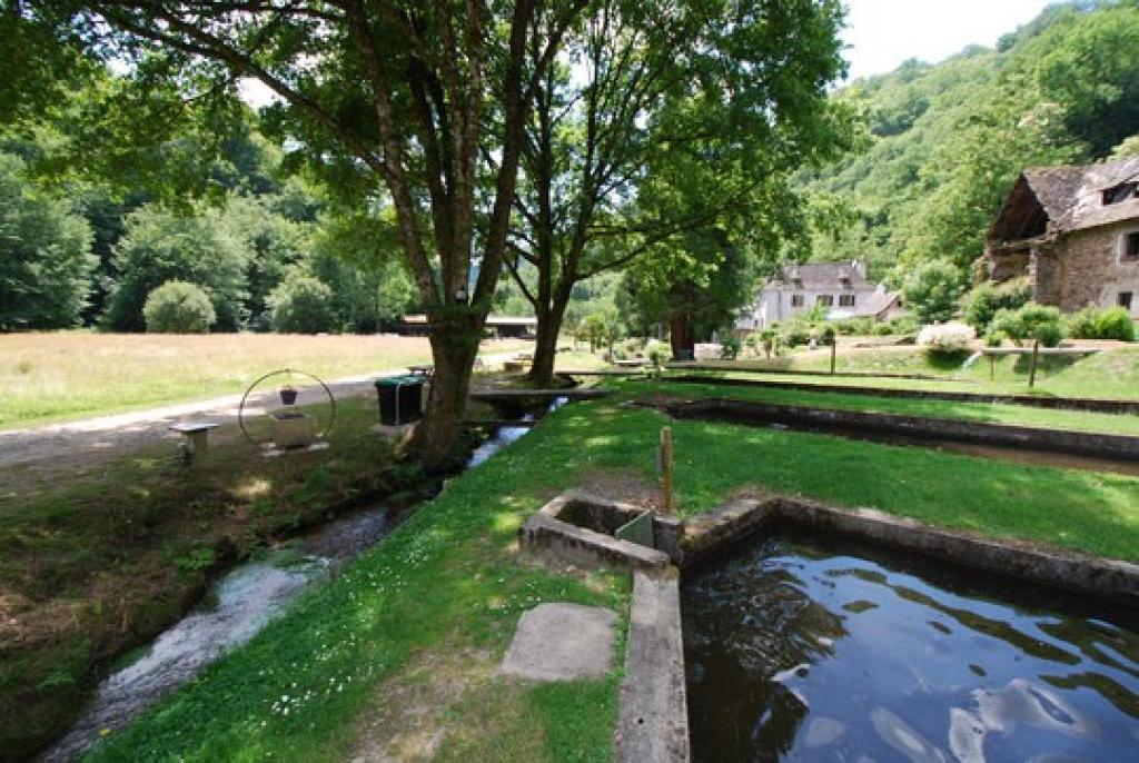 Pisciculture La Fialicie