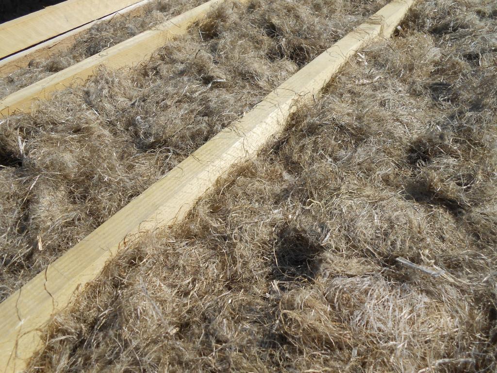 Ferme de la Bitarelle - SCEA Mompechin