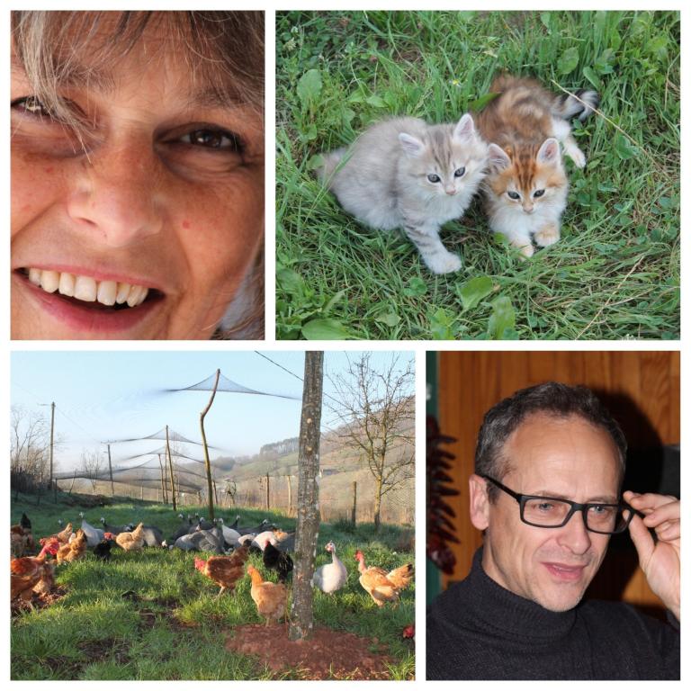 La Ferme d'à côté