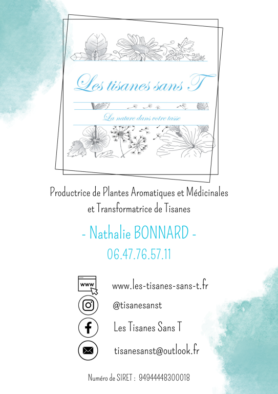 Les tisanes sans T