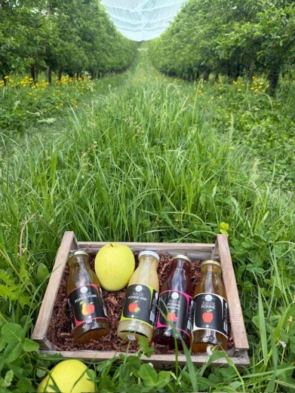 Toutifruits - Fruits du Maumont