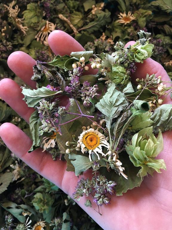 Les jardins d'Yzorche