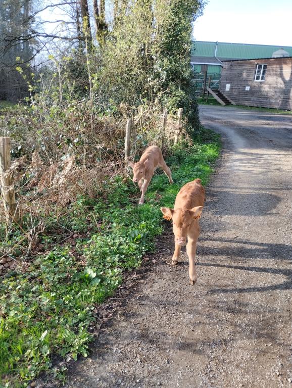 Ferme Pédagogique du Grand Chêne