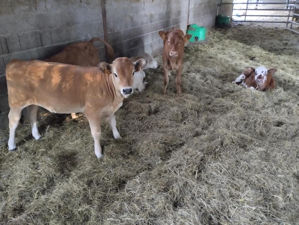 Ferme Pédagogique du Grand Chêne
